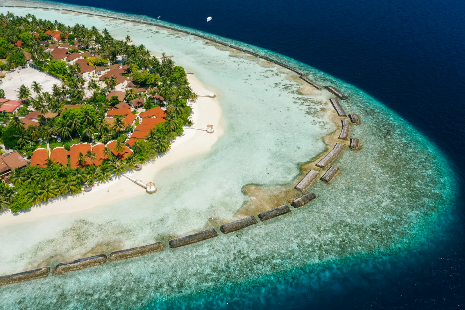 Aerial View of a Beach